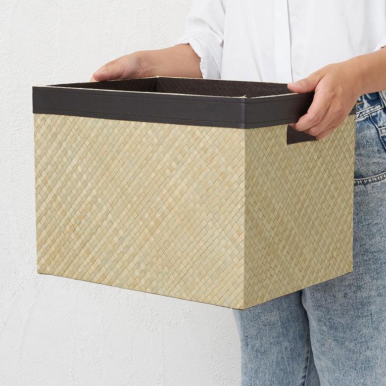 収納 ボックス パンダン Lサイズ ケース 箱 インナーボックス カラーボックス 対応 引き出し 小物 入れ 整理 おしゃれ インテリア モダン 西海岸 bl-11744 | ELEMENTS（インテリア） | 03