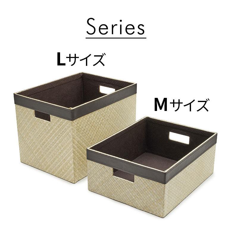 収納 ボックス パンダン Lサイズ ケース 箱 インナーボックス カラーボックス 対応 引き出し 小物 入れ 整理 おしゃれ インテリア モダン 西海岸 bl-11744 | ELEMENTS（インテリア） | 09