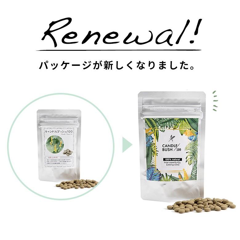 お得な10個セット キャンドルブッシュ 100パーセント配合 キャンドルブッシュ100 粒タイプ 200粒入り サプリメント cb100-200-10_15