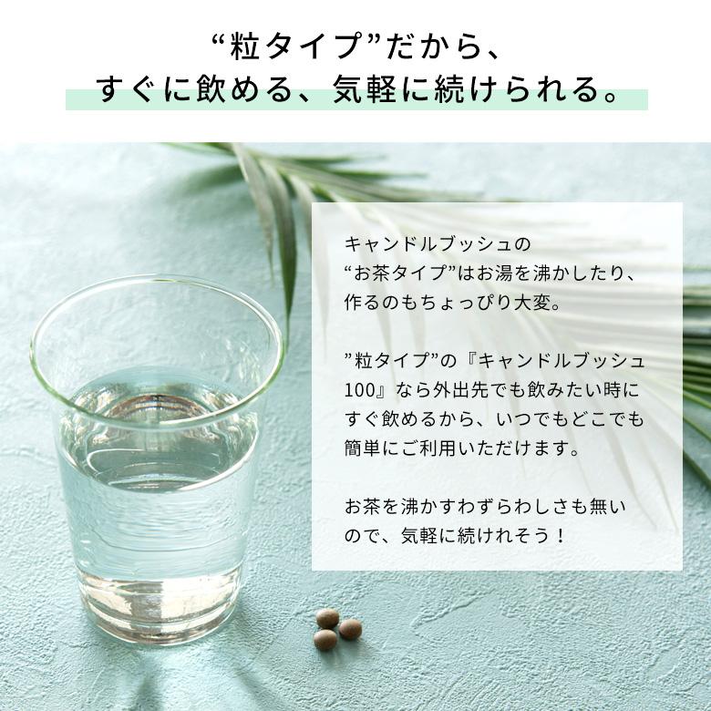 お得な10個セット キャンドルブッシュ 100パーセント配合 キャンドルブッシュ100 粒タイプ 200粒入り サプリメント cb100-200-10_5
