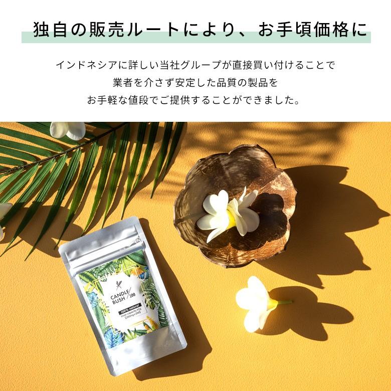 お得な10個セット キャンドルブッシュ 100パーセント配合 キャンドルブッシュ100 粒タイプ 200粒入り サプリメント cb100-200-10_6