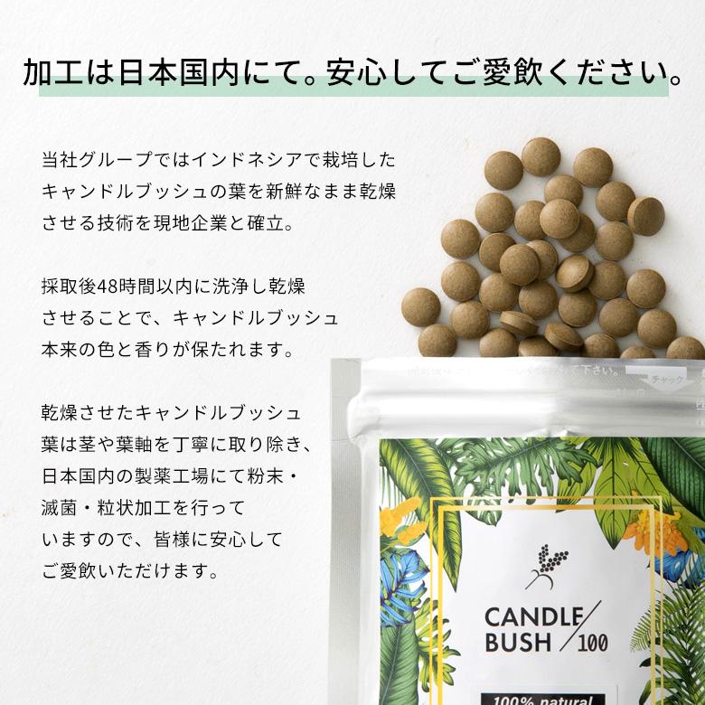 お得な10個セット キャンドルブッシュ 100パーセント配合 キャンドルブッシュ100 粒タイプ 200粒入り サプリメント cb100-200-10_7