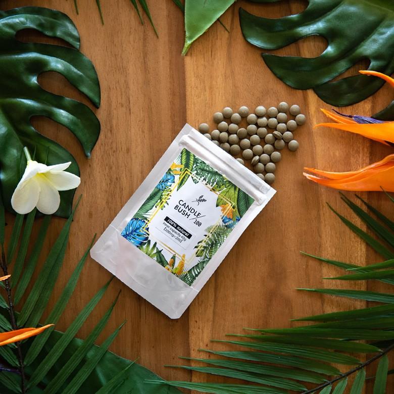 お得な2個セット キャンドルブッシュ 100パーセント配合 キャンドルブッシュ100 粒タイプ 200粒入り サプリメント cb100-200-2 | ブランド登録なし | 01