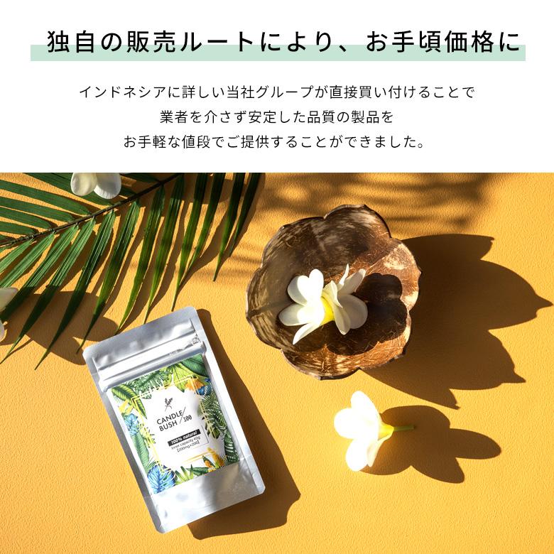 お得な2個セット キャンドルブッシュ 100パーセント配合 キャンドルブッシュ100 粒タイプ 200粒入り サプリメント cb100-200-2 | ブランド登録なし | 06