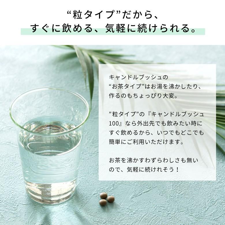 お得な3個セット キャンドルブッシュ 100パーセント配合 キャンドルブッシュ100 粒タイプ 200粒入り サプリメント cb100-200-3 | ブランド登録なし | 05