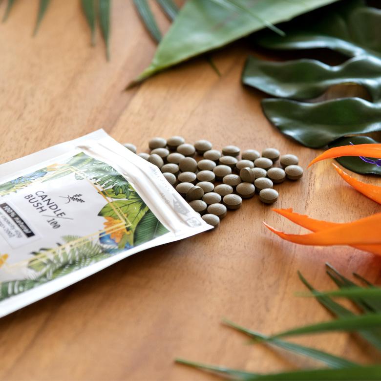 お得な4個セット キャンドルブッシュ 100パーセント配合 キャンドルブッシュ100 粒タイプ 200粒入り サプリメント cb100-200-4 | ブランド登録なし | 03