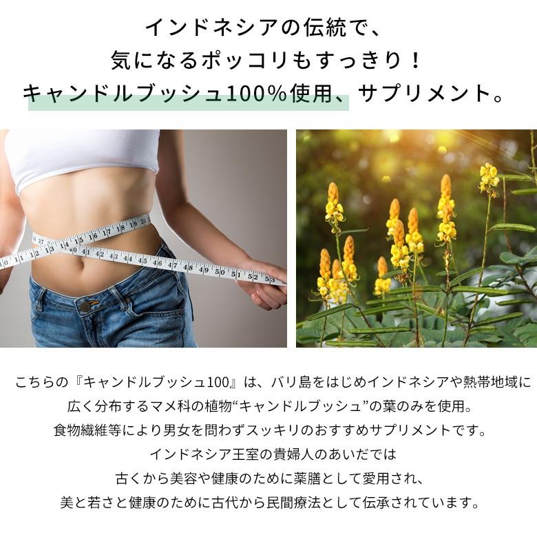 お得な4個セット キャンドルブッシュ 100パーセント配合 キャンドルブッシュ100 粒タイプ 200粒入り サプリメント cb100-200-4 | ブランド登録なし | 04