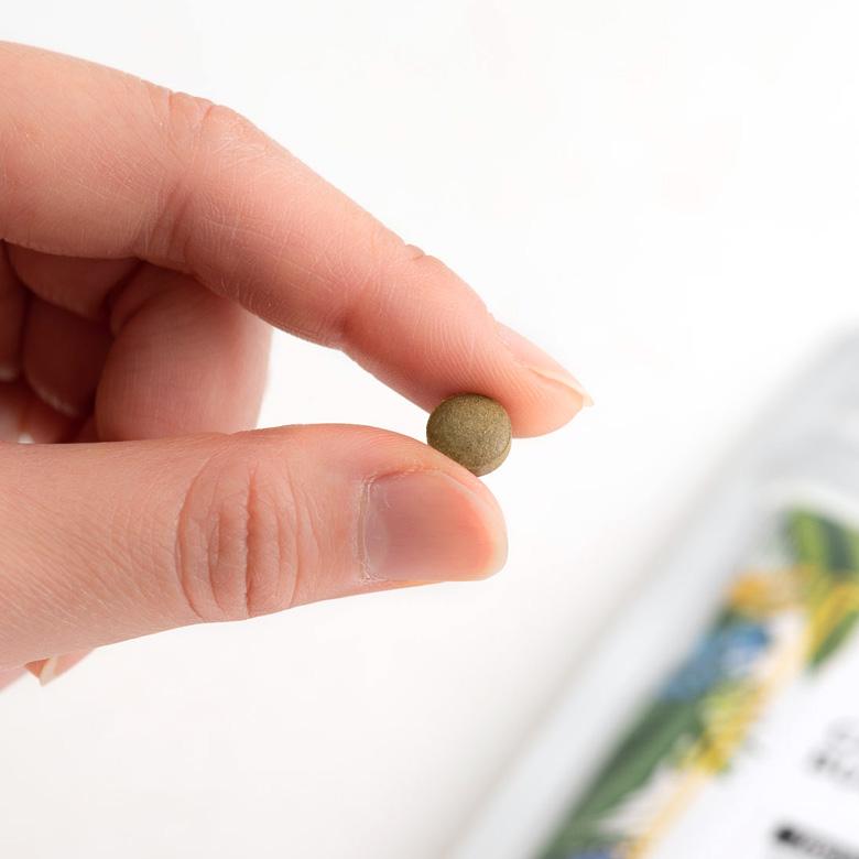 お得な4個セット キャンドルブッシュ 100パーセント配合 キャンドルブッシュ100 粒タイプ 200粒入り サプリメント cb100-200-4 | ブランド登録なし | 09