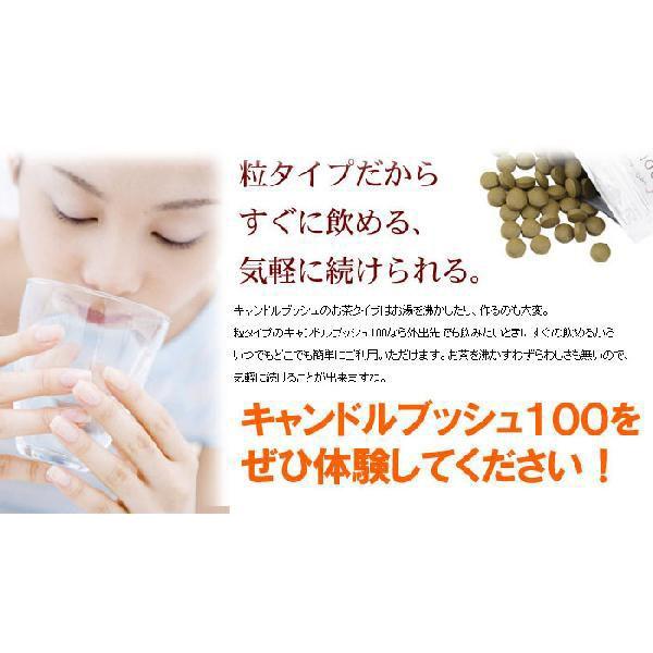 キャンドルブッシュ100パーセント配合 キャンドルブッシュ100 粒タイプ 40粒入り CB100-40 | ブランド登録なし | 02