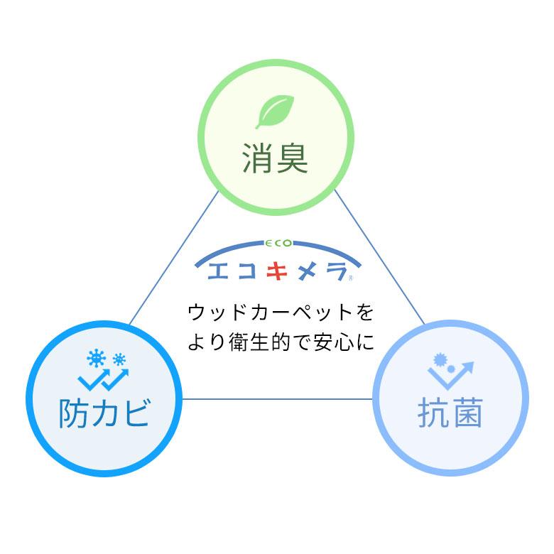 【同時購入用】 抗菌加工 エコキメラ 8畳用 特許 取得  ウッドカーペット フローリングカーペット 床 リフォーム 抗菌 消臭 防カビ ecokimera80 | ELEMENTS（インテリア） | 02