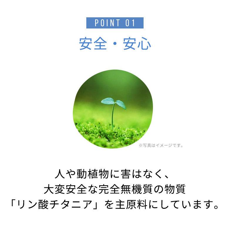 【同時購入用】 抗菌加工 エコキメラ 8畳用 特許 取得  ウッドカーペット フローリングカーペット 床 リフォーム 抗菌 消臭 防カビ ecokimera80 | ELEMENTS（インテリア） | 04