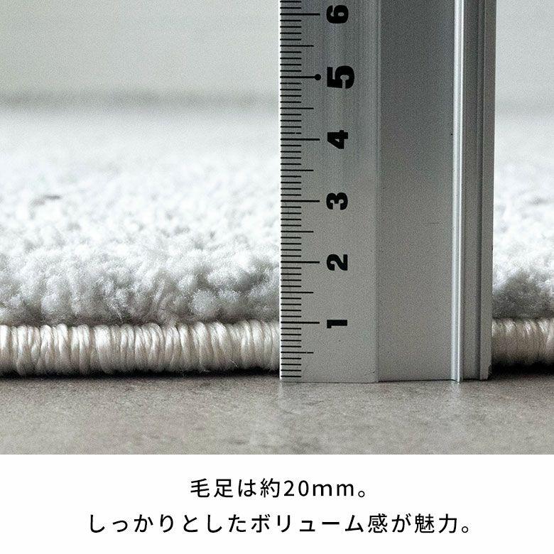 ラグマット オールシーズン ラグ カーペット ウィルトン 変形 床暖房対応 ホットカーペット対応 個性的 おしゃれ 北欧 リゾート インテリア 西海岸 eg84366 | ELEMENTS（インテリア） | 11