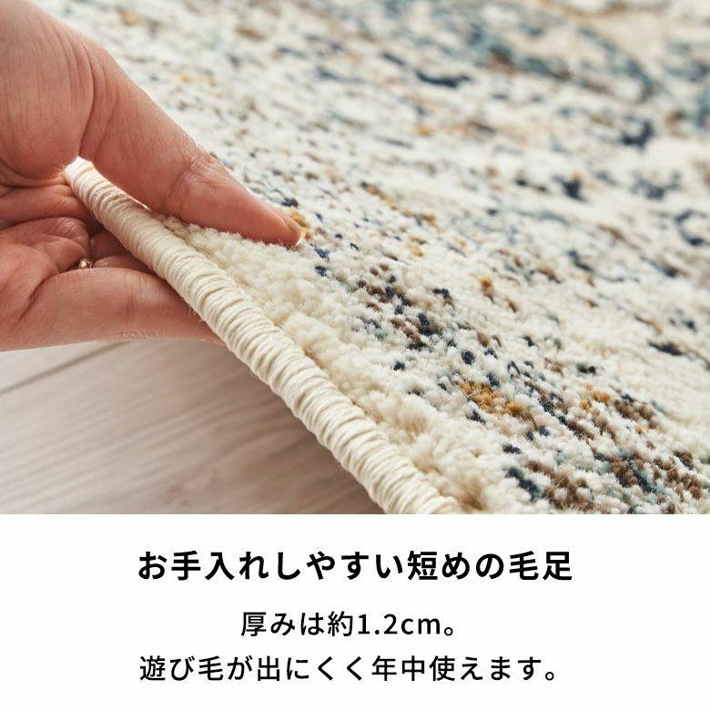 ラグ マット ペルシャ 風 柄 オリエンタル ウィルトン織 約300×400cm 長方形 絨毯 エスニック モロッカン カーペット おしゃれ 敷物 Amira アミーラ eg84377 | ELEMENTS（インテリア） | 12