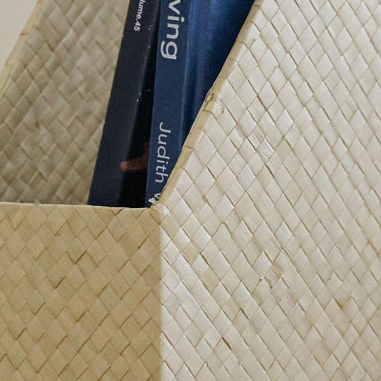 ファイル収納 ファイルスタンド ファイル ボックス パンダン 2色展開 ブック スタンド 収納 A4 縦型 マガジン ナチュラル デスク 雑貨 アジア工房 fb-1171 | ブランド登録なし | 02