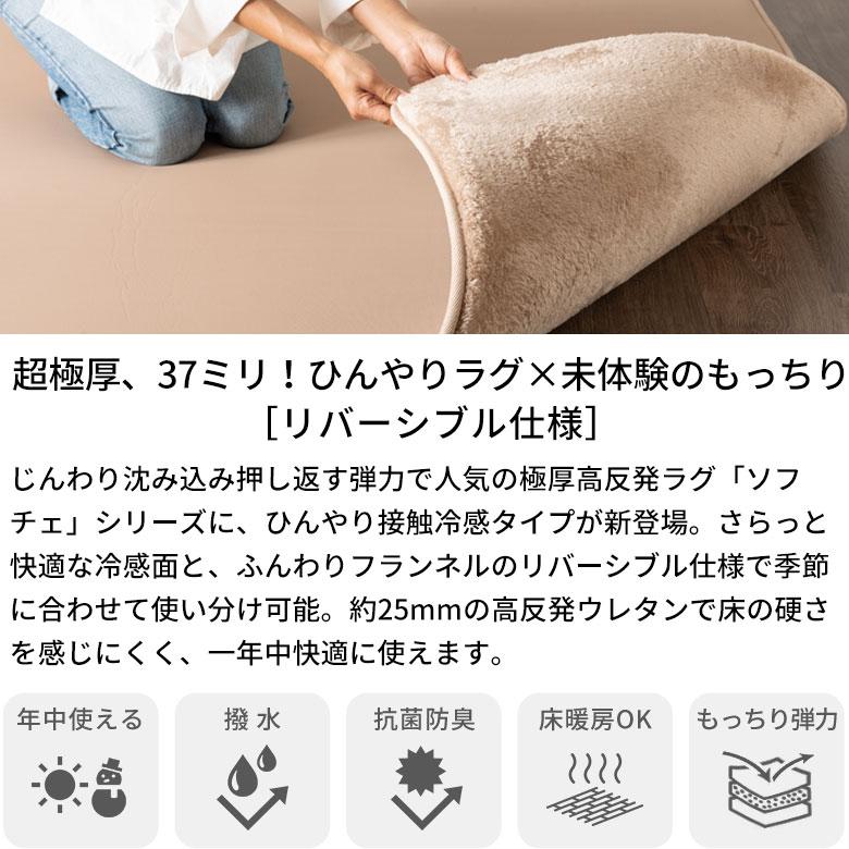 ラグ 高反発 低反発 のような 1.5畳 2畳 3畳 ラグ カーペット 冷感 ひんやり オールシーズン リバーシブル 夏用 おしゃれ 厚手 極厚 リビング アジアン kr250 | ELEMENTS（インテリア） | 03