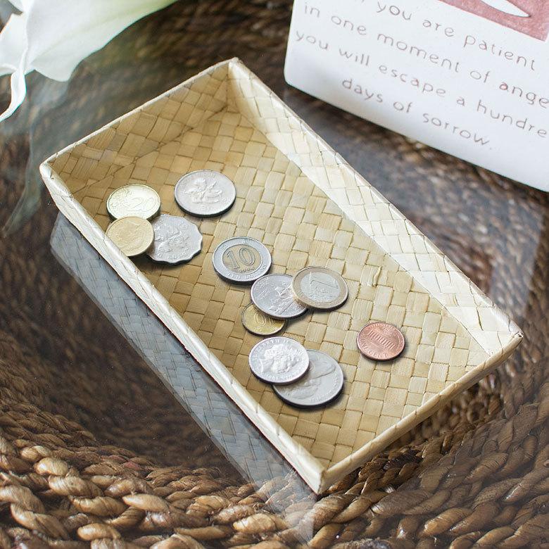 収納 ボックス パンダン Lサイズ ケース 箱 インナーボックス カラーボックス 対応 引き出し 小物 入れ 整理 おしゃれ インテリア モダン 西海岸 pt-11734 | ELEMENTS（インテリア）