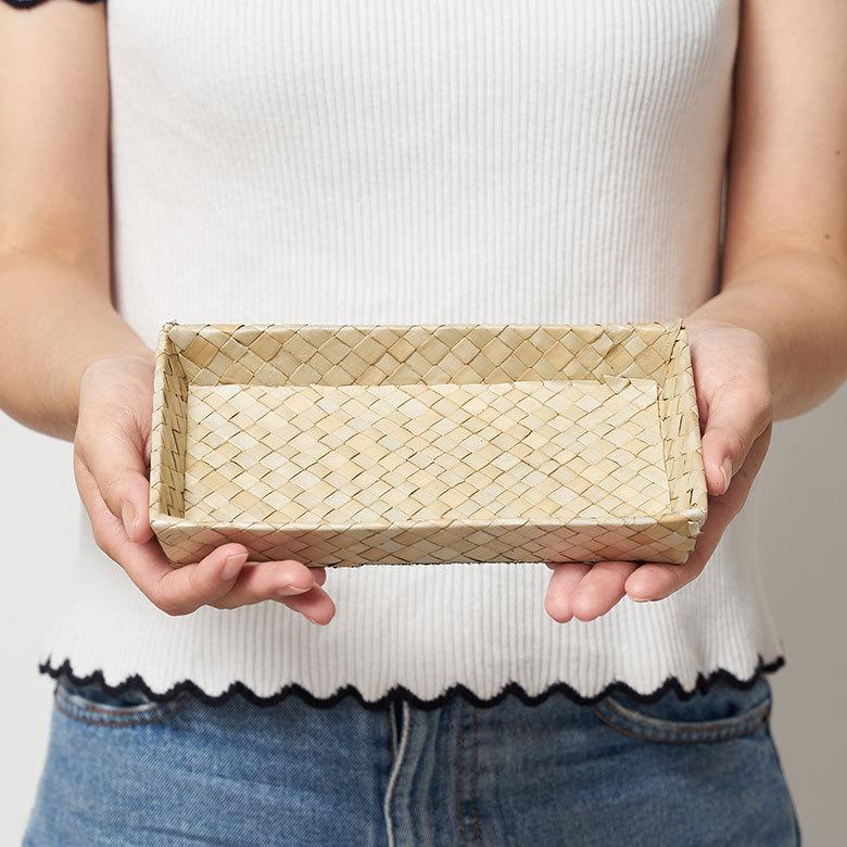 収納 ボックス パンダン Lサイズ ケース 箱 インナーボックス カラーボックス 対応 引き出し 小物 入れ 整理 おしゃれ インテリア モダン 西海岸 pt-11734 | ELEMENTS（インテリア） | 03