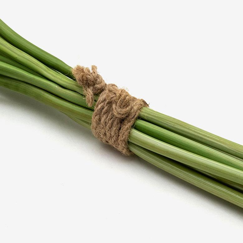 9本セット 造花 カラーリリー ショート 観葉植物 フェイクグリーン 枝付き リゾート アジアン雑貨 花飾り 3色展開 set-6164 | ブランド登録なし | 10