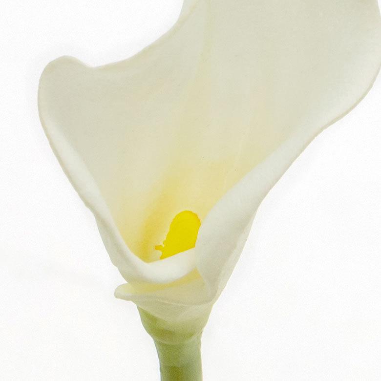 9本セット 造花 カラーリリー ショート 観葉植物 フェイクグリーン 枝付き リゾート アジアン雑貨 花飾り 3色展開 set-6164 | ブランド登録なし | 13