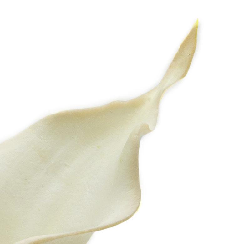 9本セット 造花 カラーリリー ショート 観葉植物 フェイクグリーン 枝付き リゾート アジアン雑貨 花飾り 3色展開 set-6164 | ブランド登録なし | 08