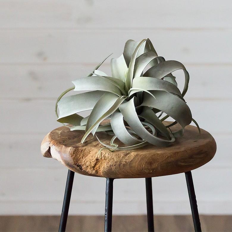 スツール 椅子 木製 無垢材 天然木 おしゃれ イス カウンターチェア アンティーク 北欧 西海岸 男前 ブラウン 茶色 set-91026 | ELEMENTS（インテリア） | 05