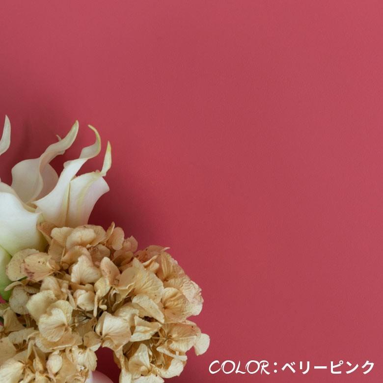 壁紙 ペンキ 室内 天井 水性塗料 ツールセット 2kg 約14平米 ウォームカラー 塗り替え 壁 DIY 簡単 マット 店舗 おしゃれ 模様替え 屋内 STYLE DIY set-97101 | ELEMENTS（インテリア） | 20