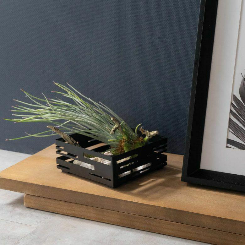 2個セット 蚊取り線香 入れ スクエア型 ス リットデザイン 幾何柄 スチール 製 蚊遣り ホルダー かやり 蚊やり アウトドア おしゃれ 西海岸 男前 stc2-67118 | ELEMENTS（インテリア） | 08