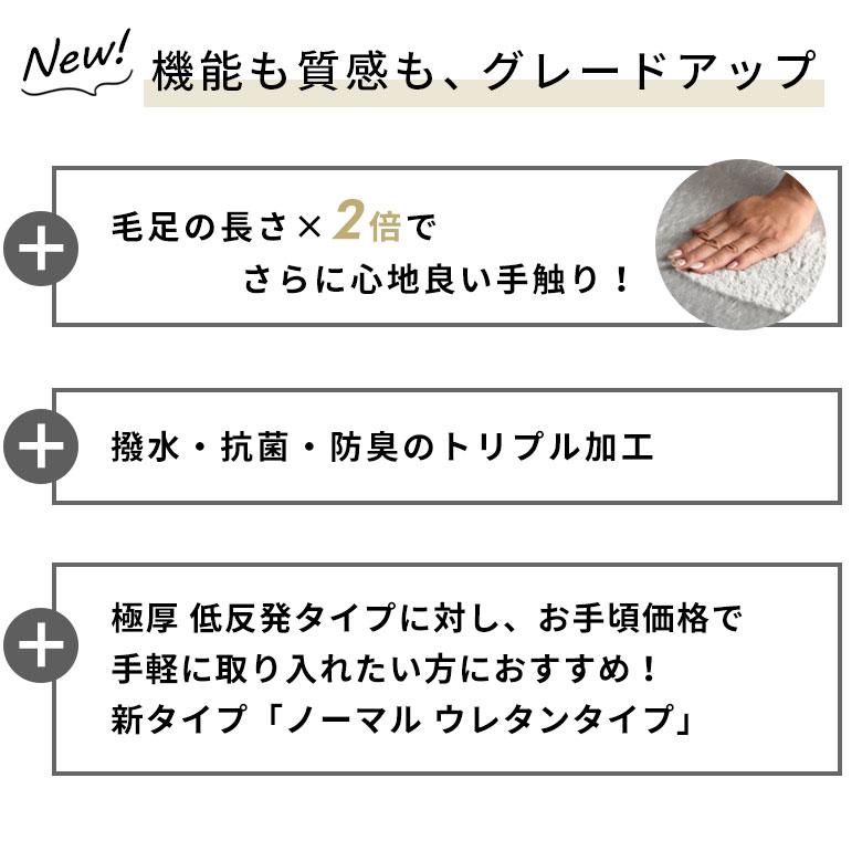 ラグ カーペット 軽量 2畳 3畳 190×240 撥水 抗菌 防臭 ウレタン ラグマット オールシーズン 絨毯 おしゃれ 北欧 リゾート インテリア 西海岸 U180-190×240_6