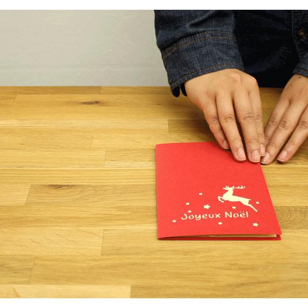 12星座ポップアップグリーティングカード アジア工房 vn50920 | ブランド登録なし | 01