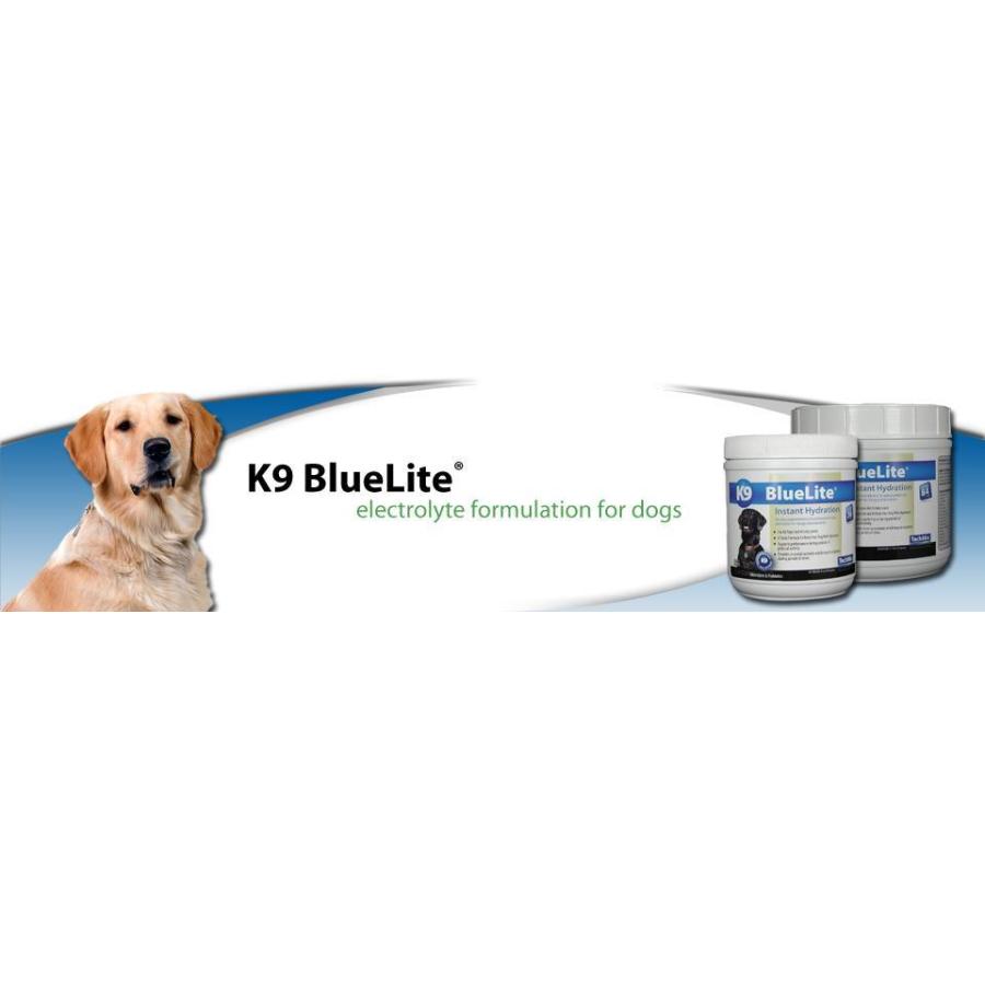 ペット用スポーツドリンク K9 Bluelite ハイポトニック K9bluelite Sportsdrink Elementsjapan 通販 Yahoo ショッピング