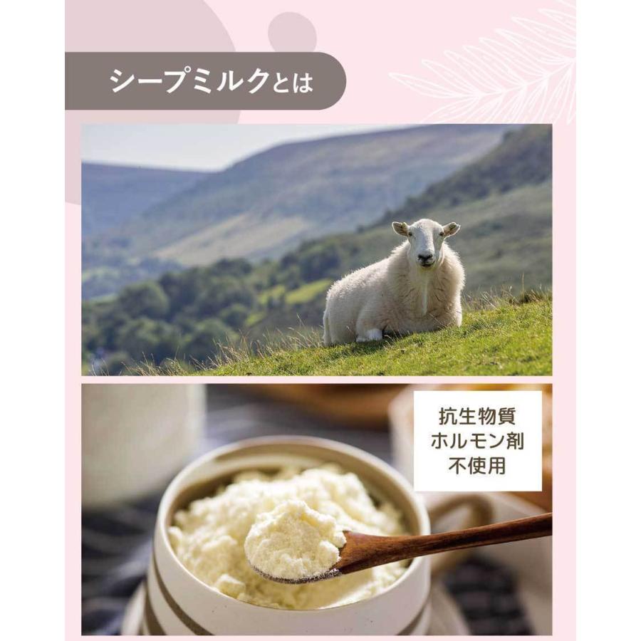 人用 全脂肪 ニュージーランド産 グラスフェッドシープ 羊 ミルク