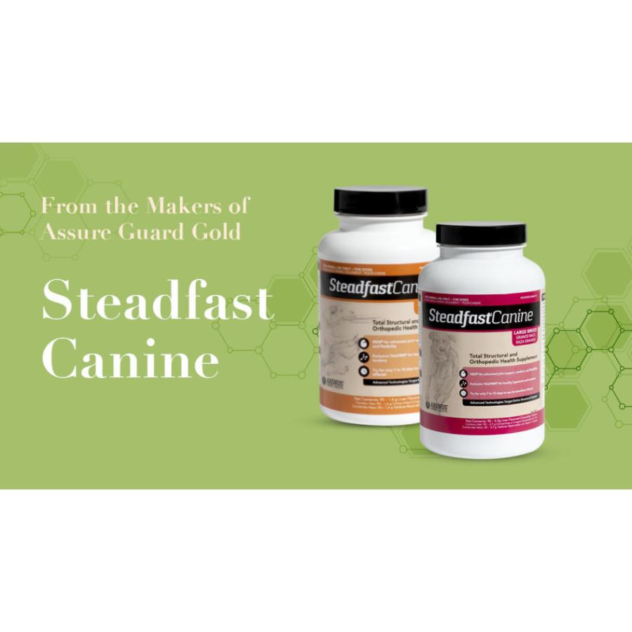 2個セット 関節サプリメント Steadfast Canine スモールブリード 90日 コラーゲン サプリ サプリメント 卵殻膜サプリメント グルコサミン コンドロイチンの画像