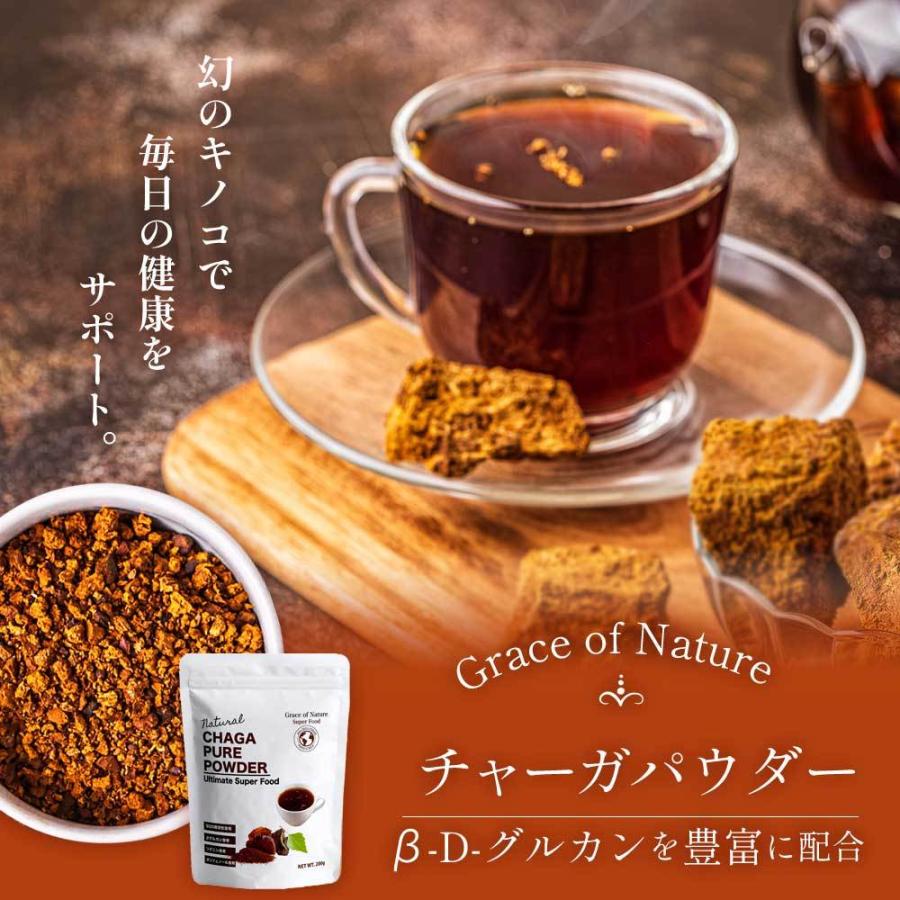 チャーガ パウダー 200g 管理栄養士監修 ロシア産 粉末 無添加 ノン