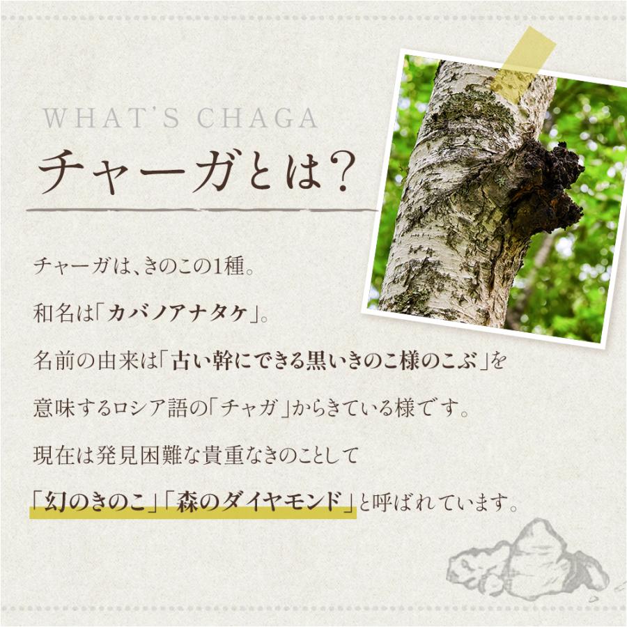チャーガ パウダー 200g 管理栄養士監修 ロシア産 粉末 無添加 ノン