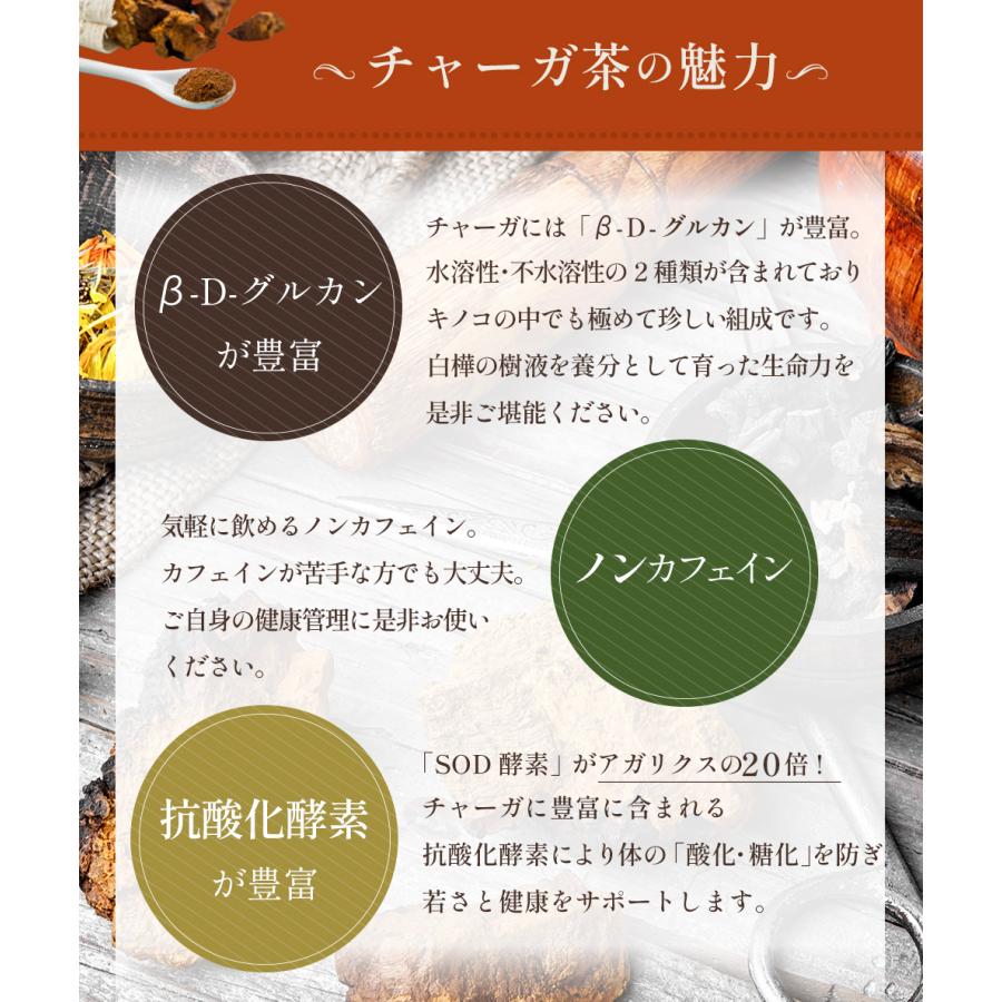 チャーガ パウダー 200g 管理栄養士監修 ロシア産 粉末 無添加 ノン