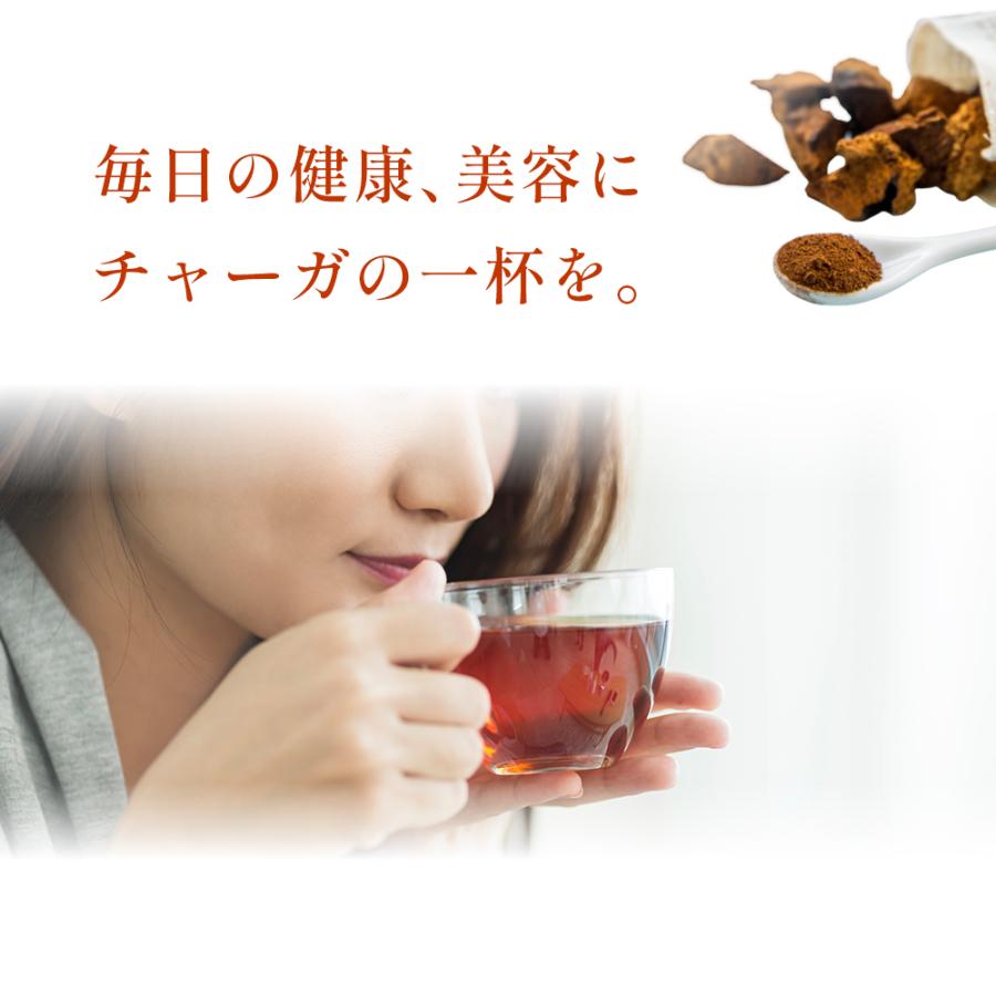 チャーガ パウダー 200g 管理栄養士監修 ロシア産 粉末 無添加 ノン