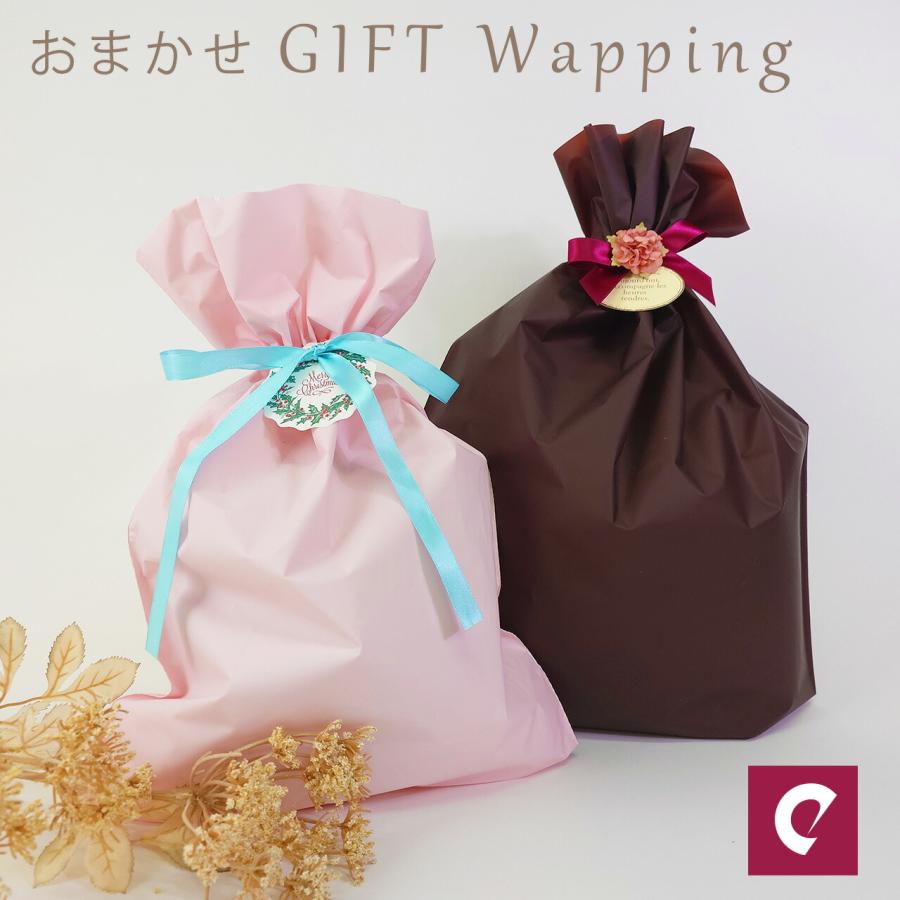 ラッピング  ギフト包装 プレゼント包装 贈り物 袋 リボン付き ギフト プレゼント 女性 下着 レディース エレーヌ elene | 