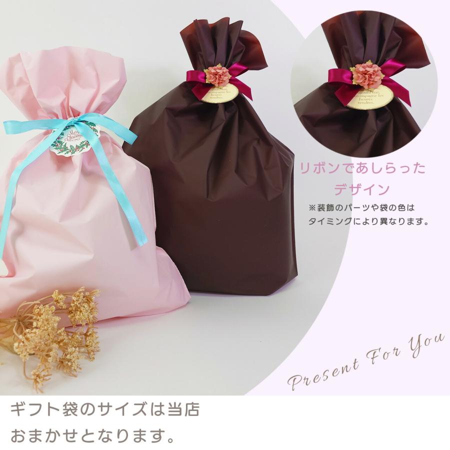 ラッピング  ギフト包装 プレゼント包装 贈り物 袋 リボン付き ギフト プレゼント 女性 下着 レディース エレーヌ elene |  | 03