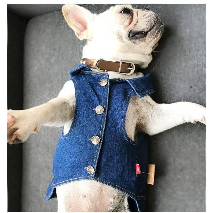 ドッグ 犬服 犬用 ドッグウェア Gジャン ダメージ デニム ベスト