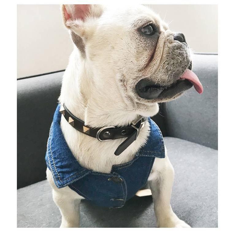デニム犬服 ベスト&シャツ スタイル 小型犬用 デニム犬服 ベスト&シャツ スタイル 小型犬用 楽天市場】犬 服 犬服