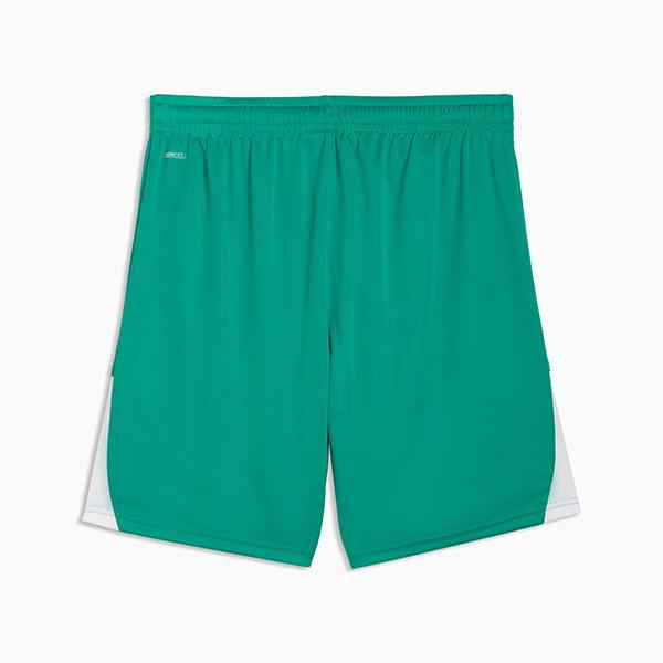 PUMA（プーマ） メンズ ショートパンツ 下 PUMA TEAMLIGA ショーツ