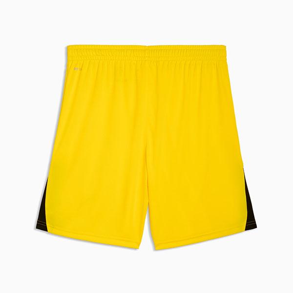 PUMA（プーマ） メンズ ショートパンツ 下 PUMA TEAMLIGA ショーツ