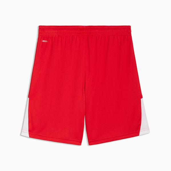 プーマ メンズ ショートパンツ 下 PUMA TEAMLIGA ショーツ ハーフパンツ ショーツ 短パン サッカー トレーニング ウェア 2026春夏新作 707346 | PUMA | 08