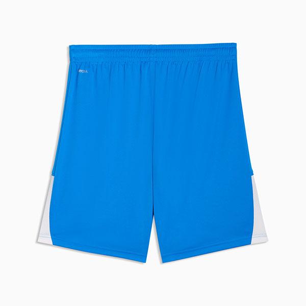 PUMA（プーマ） メンズ ショートパンツ 下 PUMA TEAMLIGA ショーツ