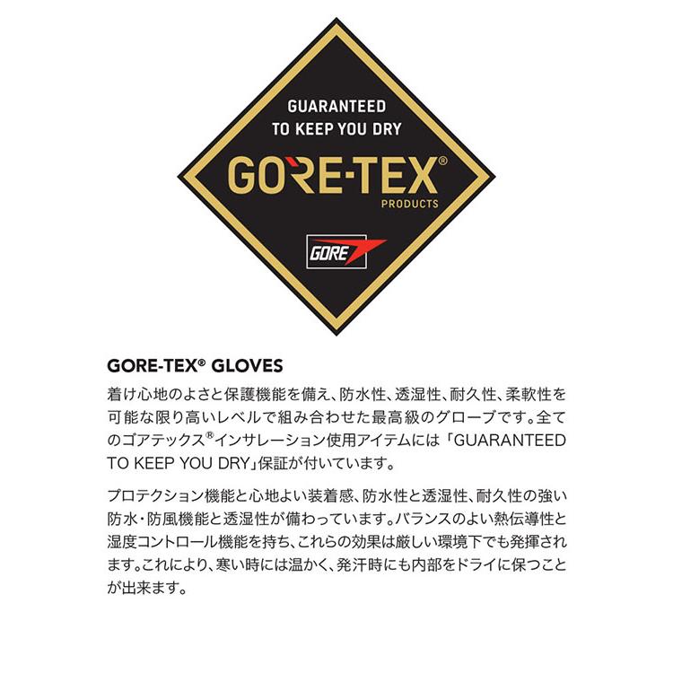 DAKINE（ダカイン） 45%off グローブ メンズ BARON GORE-TEX MITT