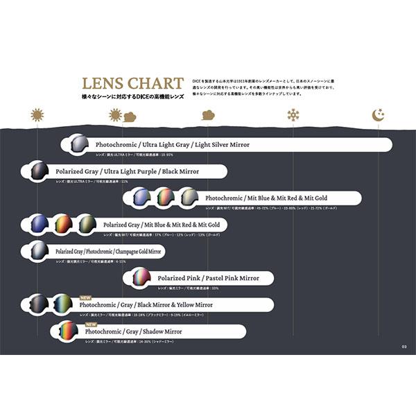 DICE（ダイス） スノーゴーグル SHOWDOWN ショーダウン 調光 グレイ