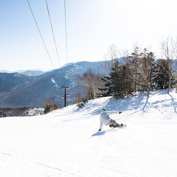 Scooter（スクーター） ラスト1点 146 スノーボード 板 DAYLIFE メンズ