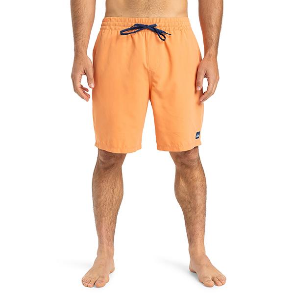Quiksilver ネコポス発送！ サーフパンツ メンズ クイック