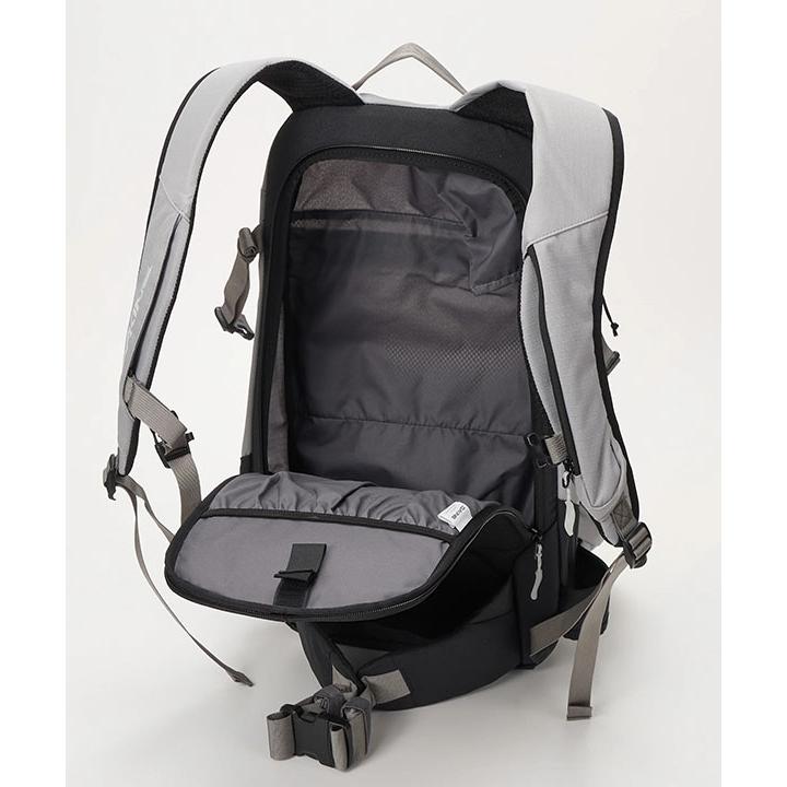 DAKINE（ダカイン） バックパック HELI PRO 24L リュック スノーボード