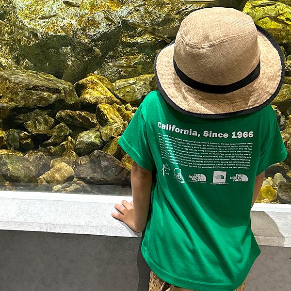 THE NORTH FACE（ザ ノースフェイス） ネコポス発送！送料無料 ノース